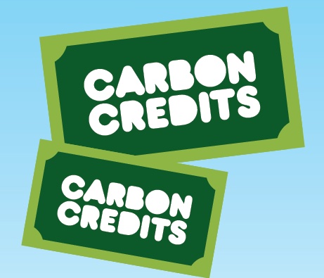Carbon-Credits